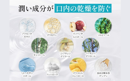 【全3回定期便】 セルフリッシュホワイト 舌磨きジェル ミントフレーバー風味 1本(100g) ＆ 舌磨きブラシ 3本 愛媛県大洲市/Gross Mountain合同会社 歯磨き粉 歯ブラシ 舌磨き 