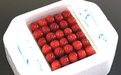 08-04-004　さくらんぼ(紅秀峰)特選手詰め500g