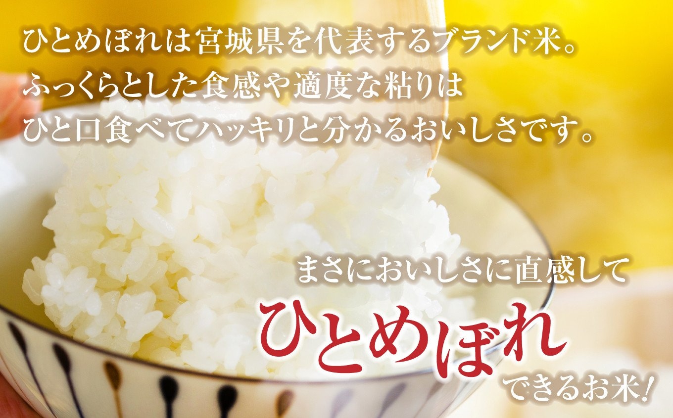 無洗米 令和7年産 米 金芽米 ひとめぼれ 宮城県産 4kg(2kg×2) [ 宮城県 加美町 km-my-knm04-r7 ] お米 小分け こめ コメ 精米 白米 玄米 きんめまい おすすめ ナカ