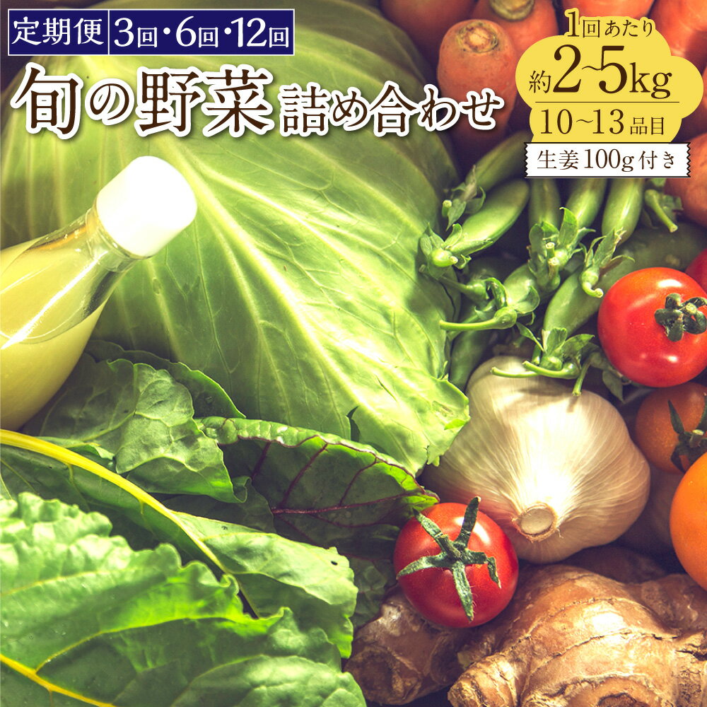 【ふるさと納税】＜選べる定期便＞旬の野菜の詰め合わせと栽培期間中農薬不使用の生姜100g付き 1回あたり2～5kg 3回 6回 12回 野菜 季節の野菜セット 新鮮 安心安全 産地直送 詰め合わせ やさい 自然 自然派 お取り寄せ 高知県 香美市 送料無料