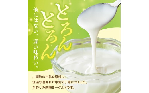 とろんとろんヨーグルト2個セット 【 ZIP!で紹介 とろんとろんヨーグルト トロントロンヨーグルト トロントロン 乳製品 川南町 送料無料 】