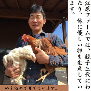 AG17_【定期便6か月】江原ファーム　アローカナの青い卵（30個）