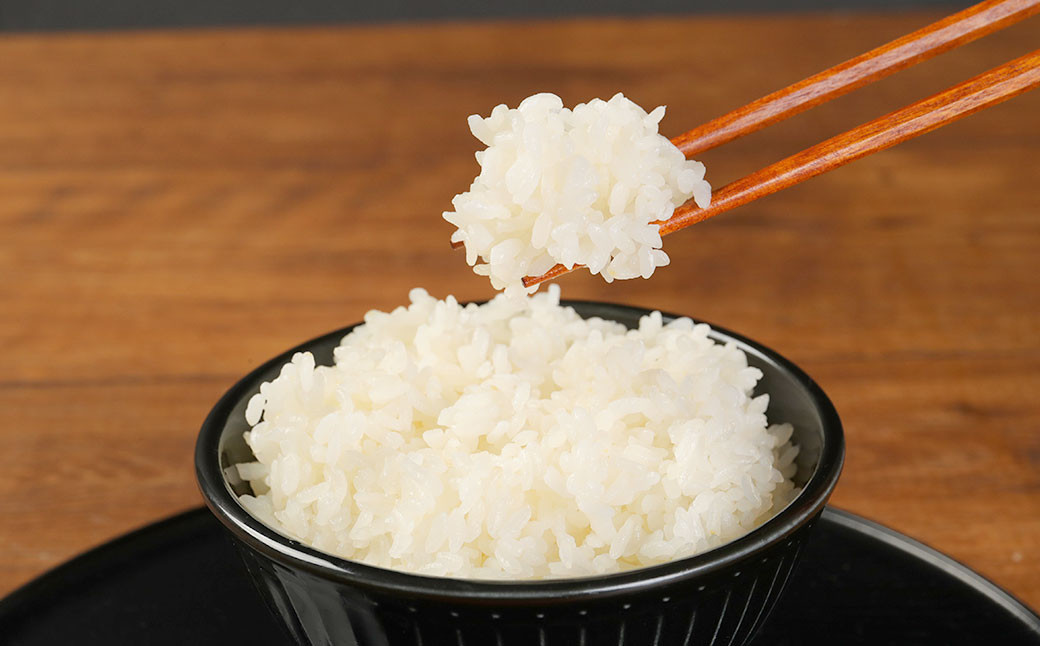 人吉球磨産 ひのひかり 5kg お米 産地限定