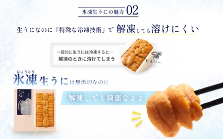 「うにむらかみ」氷凍生うに(冷凍生うに)　70g×1枚 【 ふるさと納税 人気 おすすめ ランキング うに ウニ 雲丹 海栗 塩水ウニ 塩水うに キタムラサキウニ バフンウニ うに丼 海鮮 ミョウバン