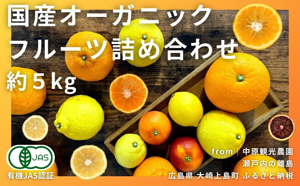 
【3月限定】瀬戸内の春 国産オーガニックフルーツ5種詰め合わせ 約5kg [有機JAS認証] レモン/ブラッドオレンジ/はるか/不知火(しらぬい)/紅八朔
