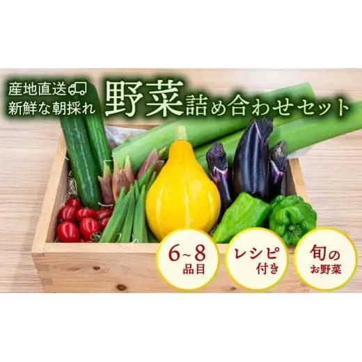 【 野菜 】 野菜セット 6～8品