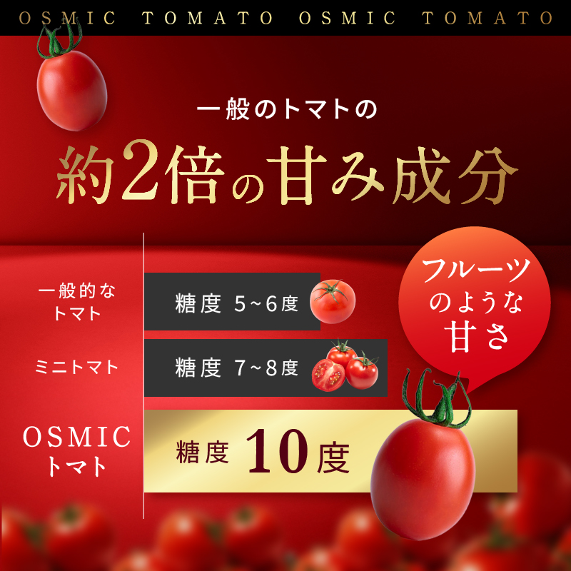 ミニトマト OSMIC トマト mini Premium 1kg フルーツトマト プチトマト 野菜 旬の野菜 季節の野菜 千葉市
