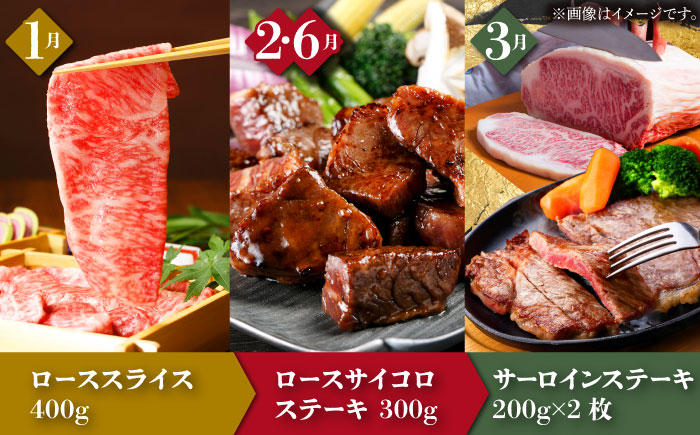 【全12回定期便】季節の佐賀牛定期便（2人前）【肉の三栄】 [HAA072]