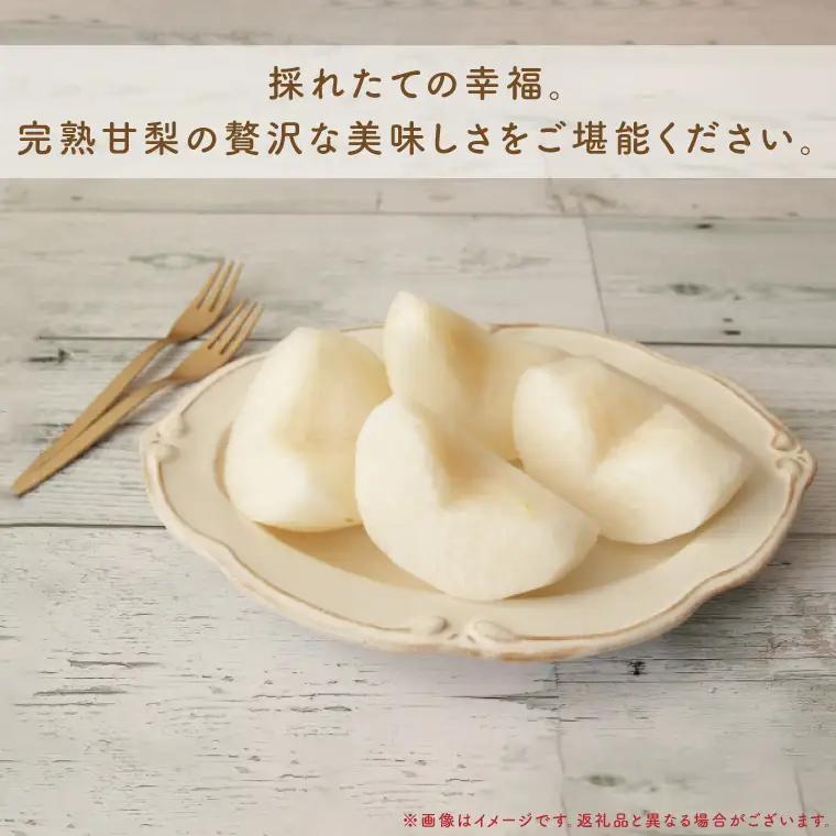 【8月中旬より発送】【数量限定】採れたて完熟甘梨（なし）約3kg（茨城県共通返礼品／かすみがうら市）（FW-11）
