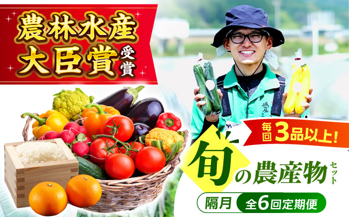 【全6回定期便】生産者の顔が見えるから安心して食べられる！毎回ちがう旬の農産物定期便　愛媛県大洲市/大洲市青年農業者協議会 [AGBL001]サラダ カレー トマト 料理 収穫 ダイエット ヘルシー ブロッコリー きゅうり キャベツ 鍋 健康 とうもろこし 果物 和食 スープ ミニトマト