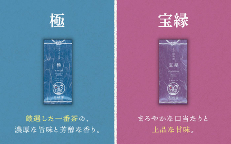 【全6回定期便】「飲み比べ」さざの 有機栽培茶 詰め合わせ (100g×5本/回)【宝緑園】[QAH017]