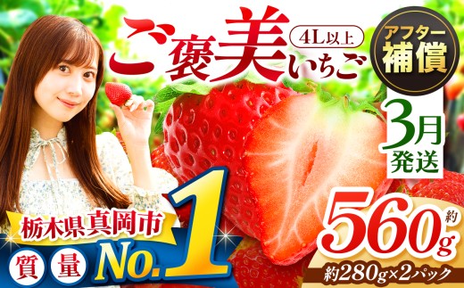 いちご【先行予約／3月発送】いちご とちあいか 4L以上 約560g 280g×2 いちご | いちご イチゴ 苺 ストロベリー itigo ichigo strawberry 果物 くだもの フルーツ ギフト 贈答 プレゼント ブランドいちご ふるさと納税いちご  いちご イチゴ 苺 人気 おすすめ  産地直送 旬 国産 取り寄せ 果物 フルーツ 苺 イチゴ 栃木県 真岡市 送料無料