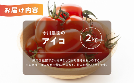 【ふるさと納税】【先行予約】今川農園のミニトマト アイコ 2kg 先行予約受付 期間限定 季節限定 野菜 国産 完熟 やさい フルーツ トマト 完熟 千果 ミニトマト イエロー プチトマト イエロート