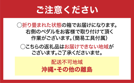 【ダークベージュ】電動アシスト自転車 トランスモバイリーNEXT206