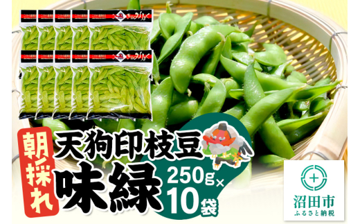 厳選 天狗印枝豆「味緑（みりょく）」約2.5kg [枝豆 えだまめ エダマメ 茶豆 えだ豆 エダ豆]