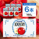 【ふるさと納税】 カゴメ 100CAN アップルジュース 160g×6缶 栃木県 那須塩原市 ジュース りんごジュース フルーツジュース 砂糖不使用 果汁 林檎 りんご アップル 飲料 ドリンク フルーツ 果物 ギフト 缶ジュース 送料無料