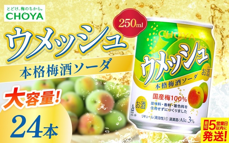 
チョーヤ ウメッシュ 本格梅酒ソーダ缶 250ml×24本
