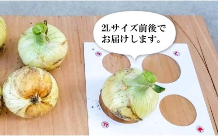 新玉ねぎ　淡路島南あわじ市 3kg 早生　◆配送4月下旬～5月下旬