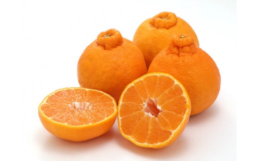 
                  贈答用 森本農園の手選別 不知火 約8kg 和歌山県産  2L～3Lサイズ［北海道・沖縄・離島配送不可］［RN134］
                