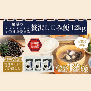 【4ヶ月定期便】涸沼産冷凍しじみ中粒３kg（100g×30p）（CA-17）