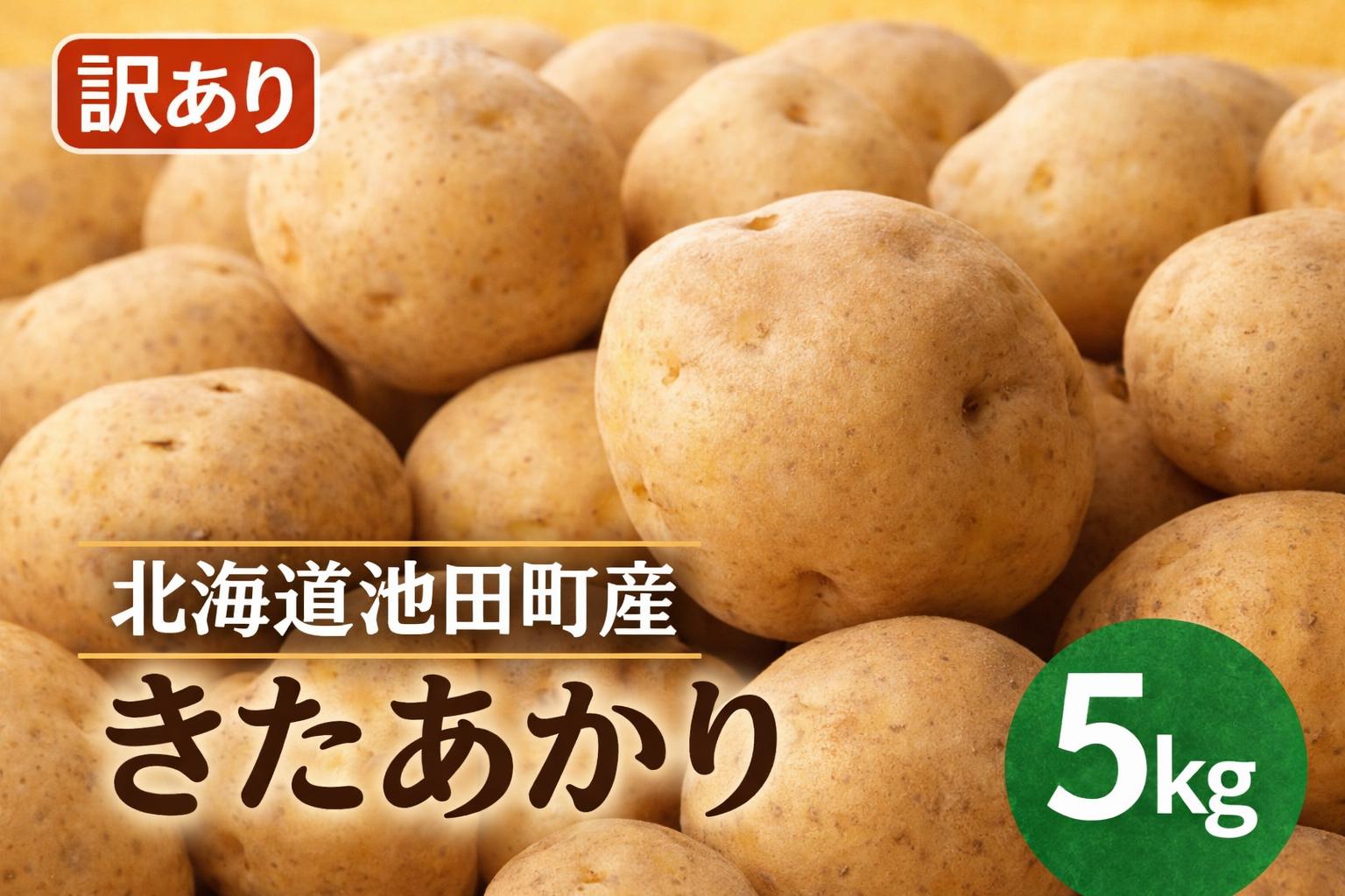 
                  訳あり きたあかり 5kg じゃがいも L,M混合 北海道 池田町 ジャガイモ いも ポテト サイズ不揃い【8月下旬以降発送】
                