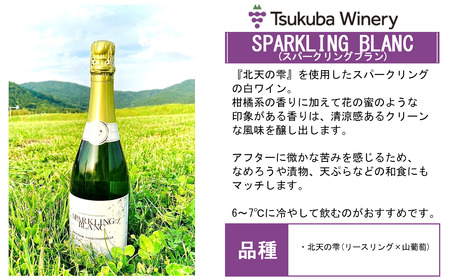 つくばワイナリー SPARKLING BLANC & ROSE セット │ ワイン ワイン ワイン ワイン ワイン