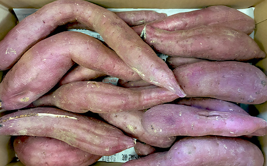 甘さ引き出す サイズ不揃い 熟成紅はるか 5kg さつまいも 訳