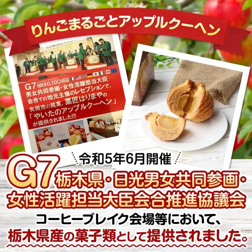 りんごまるごと アップルクーヘン 1個入 ｜林檎 リンゴ 焼菓子 洋菓子 銘菓 バームクーヘン バウムクーヘン スイーツ  