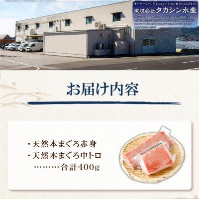 ふるさと納税 室戸市 まぐろの王様! 天然本まぐろ 味わいセット 400g |  | 03