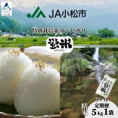 ふるさと納税 小松市 【先行予約】【定期便】 令和8年産 「 特別栽培米コシヒカリ 」 精米 蛍米 5kg×3ヶ月(毎月)