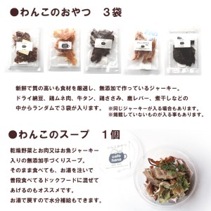 【定期便】3回発送 cafe hana わんこのお弁当セット Ｍサイズ スープ おやつ３袋 （中型犬） セット 愛犬への贈り物 ご飯 ドッグフード ペットフード 手作り 愛犬 dog 犬用