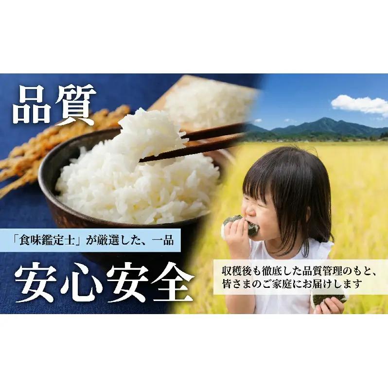 米 ななつぼし 精米 白米 令和7年産 10kg 宮田農園