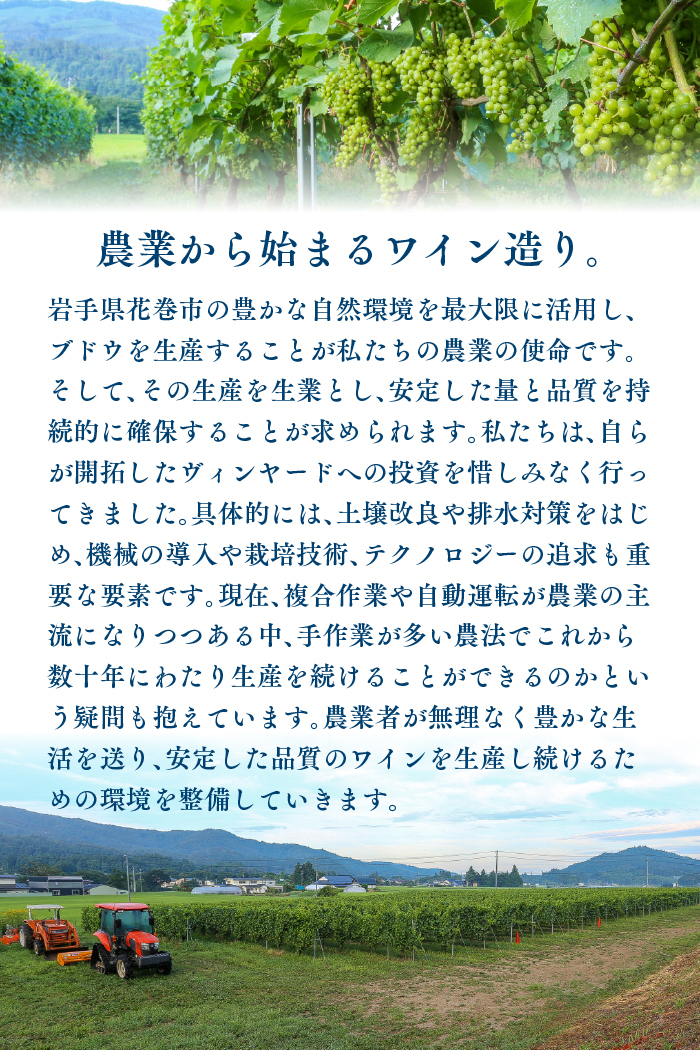  Vespinae（ベスピナエ）リースリングリオン 2024 白ワイン 750ml×1本 【2165】