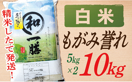 【令和6年産】【白米】山形県産もがみ誉れ10kg