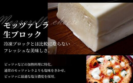 飛騨生乳100％ モッツァレラ1個 &  モッツァレラチーズ生ブロック1個セット | セット チーズ 冷蔵 濃厚 低温殺菌 乳製品 おいしい 人気 チーズ工房トリデンテ LF018