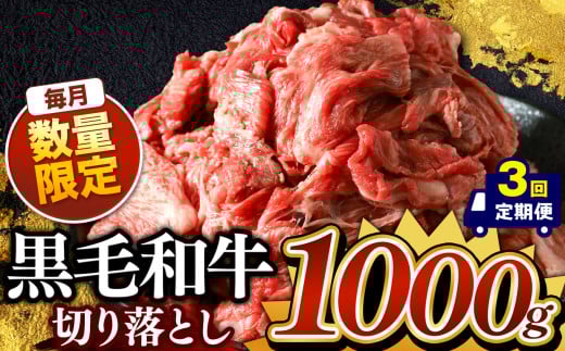 【定期便3回】栃木県産 黒毛和牛 切り落とし 1000g | 肉 おにく 黒毛和牛 牛 肉 真岡市 栃木県 送料無料