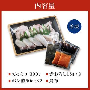 【 ふぐ鍋 】 2から3人前 指定日可 冷凍 とらふぐ てっちり