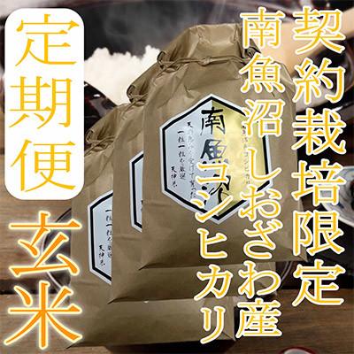ふるさと納税 南魚沼市 【発送月固定定期便】【玄米15Kg】生産者限定 南魚沼しおざわ産コシヒカリ全3回
