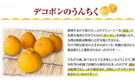 田村産「デコ」不知火[約3kg]湯浅町田村産春みかん(果実サイズおまかせ)/紀伊国屋文左衛門本舗　※2026年2月中旬～3月下旬頃に順次発送予定(お届け日指定不可)【kztb493A】