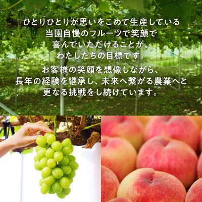 ふるさと納税 甲州市 Premiumワインギフト(白)『シャインマスカットワイン+デラウェアワイン』〜2022〜 |  | 03