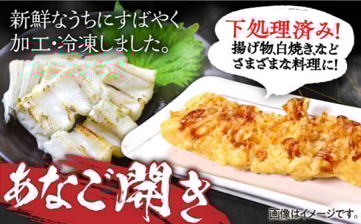 【全12回定期便】対馬産 あなご 贅沢 セット 《対馬市》【対馬地域商社】九州 長崎 煮あなご 佃煮 アナゴ [WAC023]冷凍 新鮮 あなご 穴子 柳川風 下処理 寿司 あなご重 天ぷら おかず 