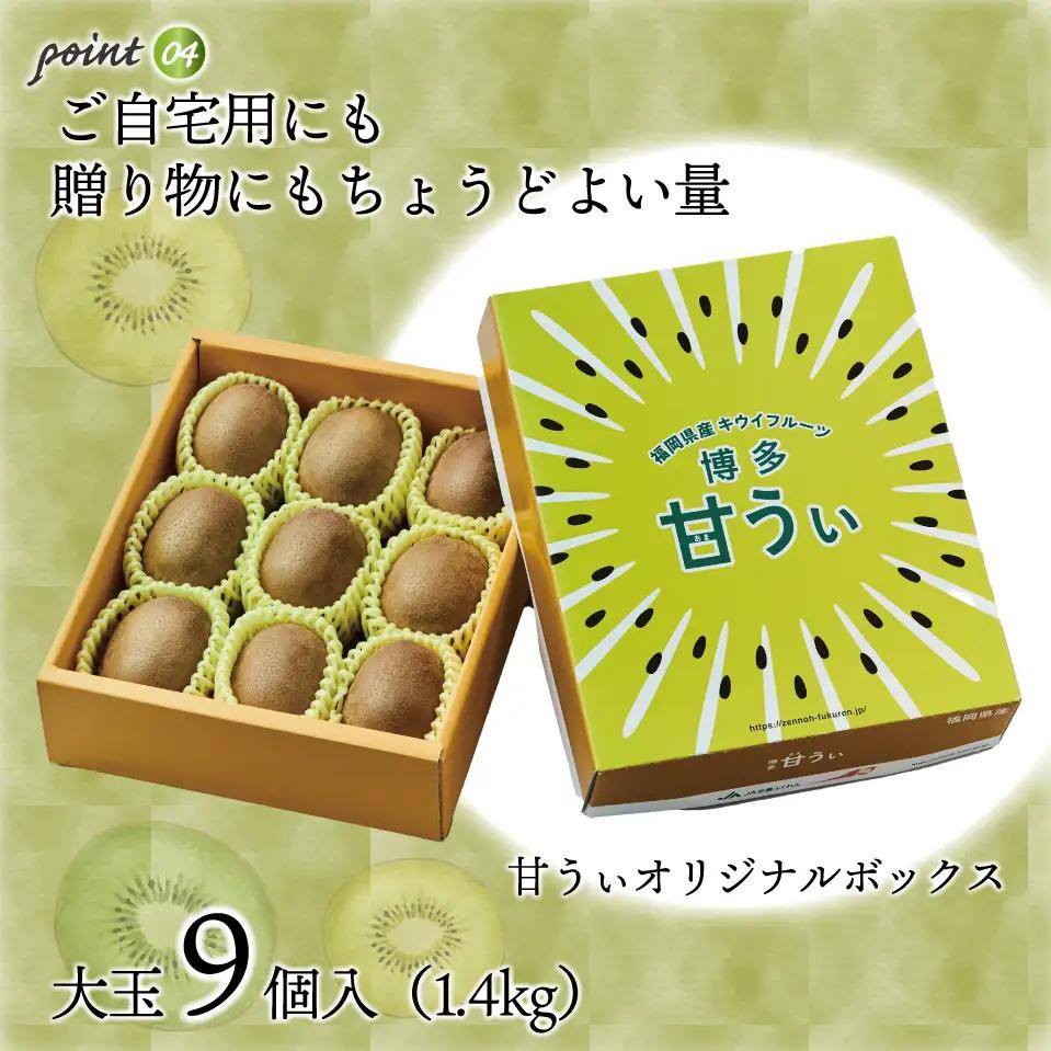 【福岡県産】キウイフルーツ「博多甘うぃ」化粧箱入り約1.4kg 2J9