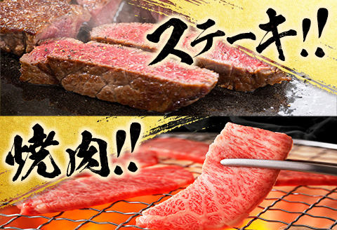 【令和6年7月から毎月発送】数量限定 4か月 お楽しみ 定期便 黒毛和牛 赤身 総重量1.7kg 肉 牛 牛肉 国産 食品 焼肉 ステーキ スライス 送料無料 お肉だヨ!全員集合!!_GH3-23-F