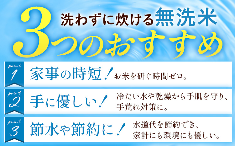 令和7年産 米 無洗米 ひのひかりこしひかり 食べ比べ 10kg《7-14日以内に出荷(土日祝除く)》 白米 精米 無洗米 熊本県産(南阿蘇村産含む) 単一原料米 南阿蘇村 ひの こし 送料無料 熊本