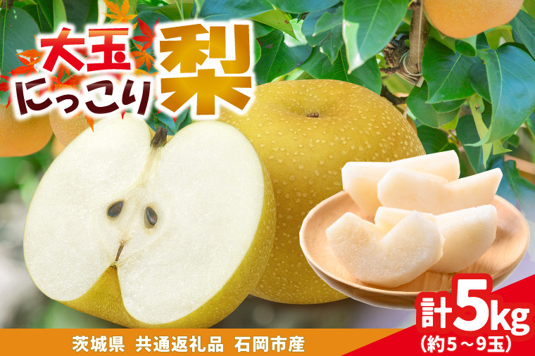 
            大玉にっこり梨　5kg(5～9玉)県内共通返礼品石岡市産 (BR174)
          