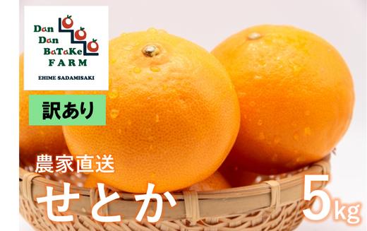 
            【先行予約】【訳あり】せとか 約5kg | 柑橘 みかん 果物 フルーツ 愛媛県産 農家直送 　※離島への配送不可　※2025年3月上旬頃に順次発送予定
          