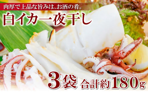 
            「釣りものケンサキイカに厳選」白いか一夜干（3枚入）【いか一夜干し 白いか 干物 60～80g 3枚 一夜干し 一夜干 イカ いか ケンサキイカ 贅沢 おつまみ お酒の肴 贈答 ギフト 冷凍 父の日 母の日】
          