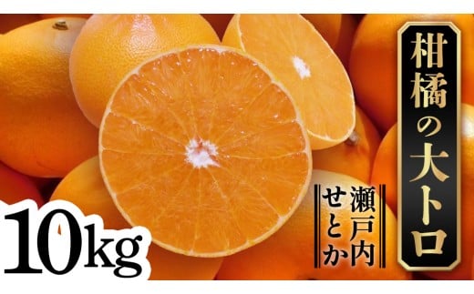 せとか 10kg 柑橘 フルーツ 果物 くだもの みかん 国産 瀬戸内 ハウス 贈答用 ギフト 産地直送