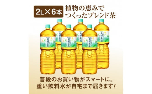 『定期便：全4回』爽健美茶2L×6本