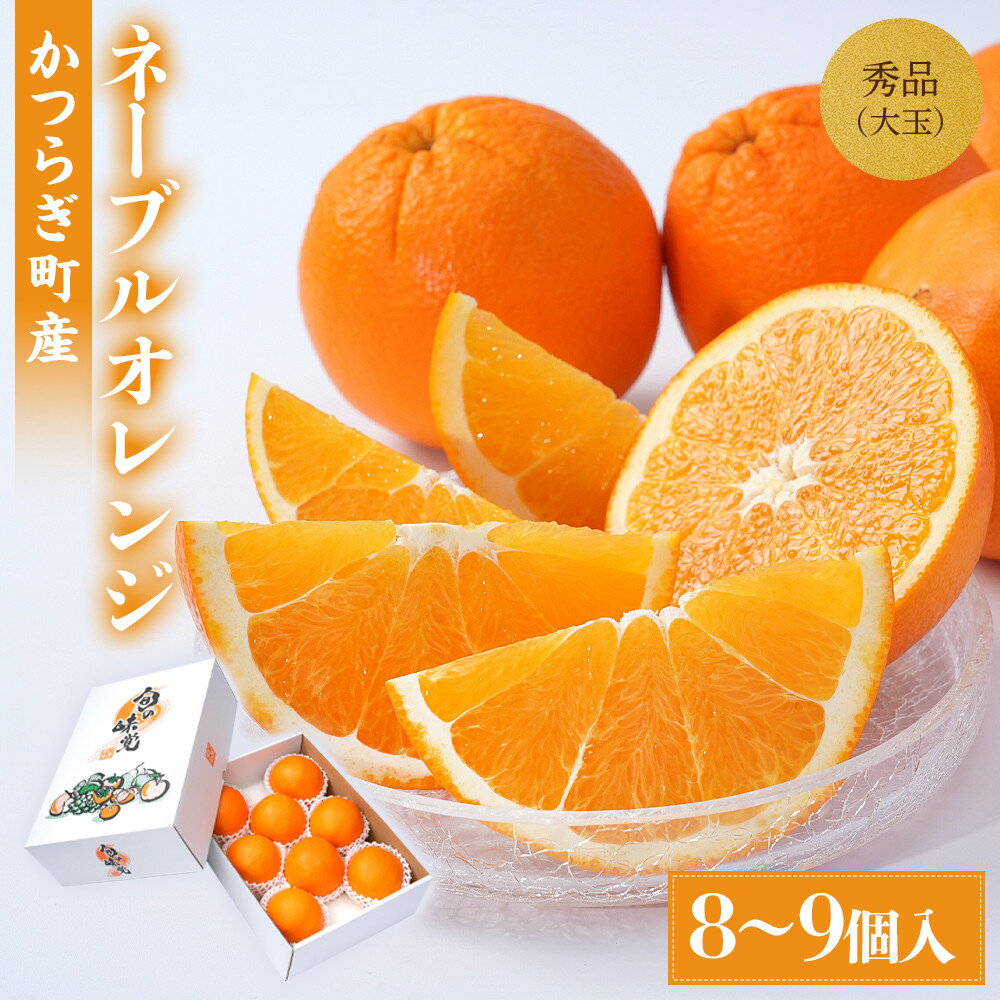 【ふるさと納税】[先行予約] 和歌山県産ネーブル 約4kg　大玉（8個～9個）秀品 こだわり農家厳選 ［KG35］ | ネーブル オレンジ 柑橘 フルーツ 果物 くだもの 食品 人気 おすすめ 送料無料